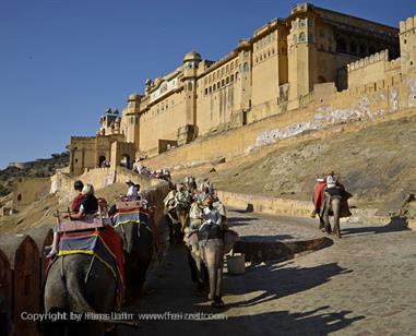 04 Fort_Amber_and Elephants,_Jaipur_DSC5012_b_H600
